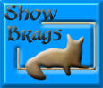 Show cats and awards